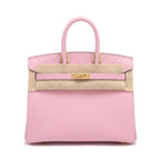 Birkin 25 Sellier Mauve Sylvestre Epsom Gold Hardware — Structured Top-Handle Tote