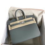 Birkin 25 Sellier 63 Vert Amande Epsom Silver Hardware — Timeless Structured Handbag