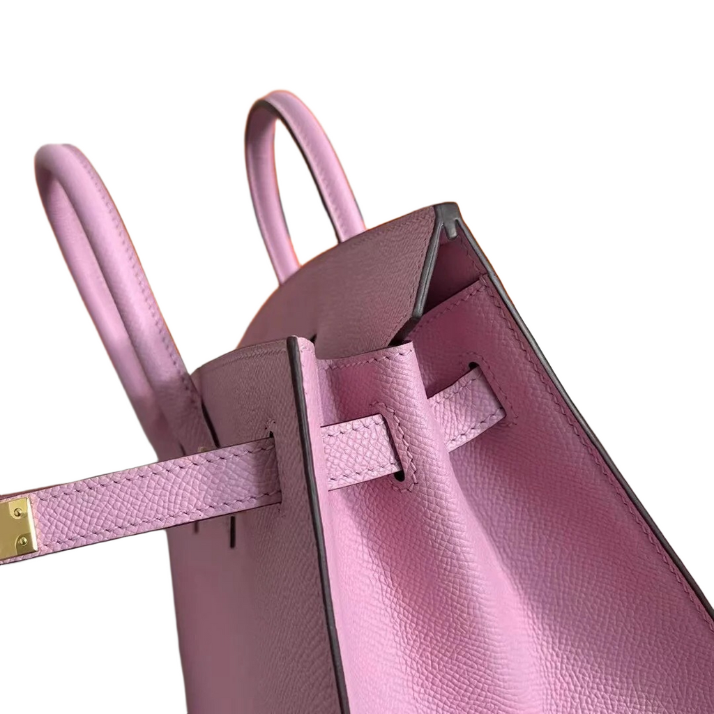 Birkin 25 Sellier Mauve Sylvestre Epsom Gold Hardware — Structured Top-Handle Tote