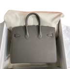 Birkin 25 Sellier 8F Etain Epsom Silver Hardware — Streamlined Structured Bag