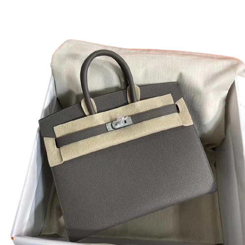 Birkin 25 Sellier 8F Etain Epsom Silver Hardware — Streamlined Structured Bag