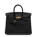 Black Matte Alligator Baby Birkin 20cm Gold Hardware — Streamlined Structured Bag