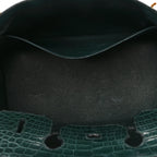 Birkin Vert Titien Matte Alligator Gold Hardware — Structured Top-Handle Tote