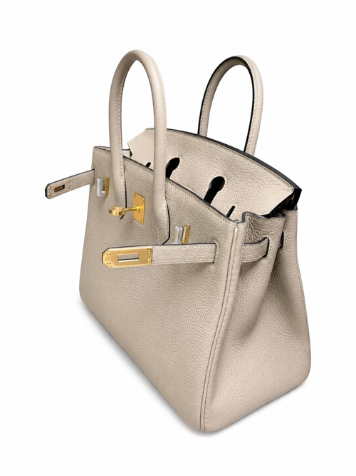 Birkin 25 Retourne in Trench Togo Leather (Gold Hardware) — Refined Structured Tote