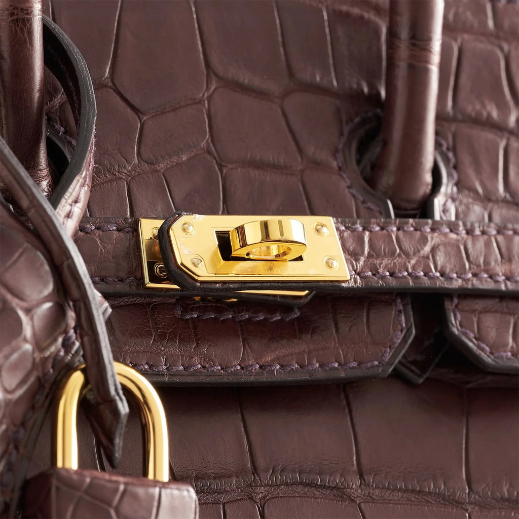 Birkin 20 Alligator Havane Gold Hardware Matte — Versatile Top-Handle Handbag