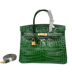 Retourne in Vert Crocodile-Embossed Leather (Gold Hardware) — Sophisticated Tote Style