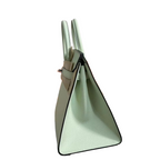 Birkin 25 Sellier Vert Fizz Epsom Silver Hardware — Structured Top-Handle Tote