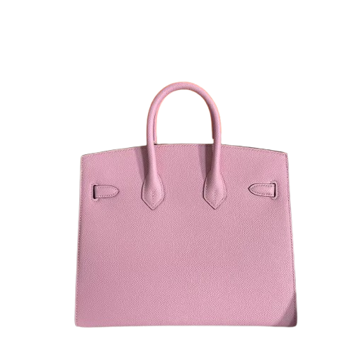 Birkin 25 Sellier Mauve Sylvestre Epsom Gold Hardware — Structured Top-Handle Tote