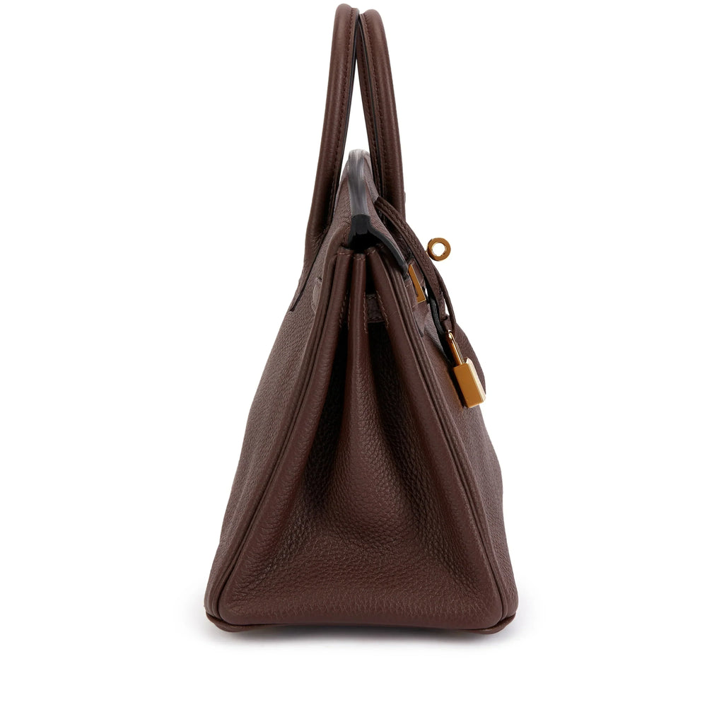 Birkin 25 Gold Hardware Chocolat Togo Quilted Epsom Leather Golden Lock — Timeless Structured Handbag