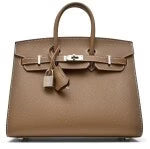 Etoupe Epsom Birkin 25 Sellier Palladium Hardware — Timeless Structured Handbag