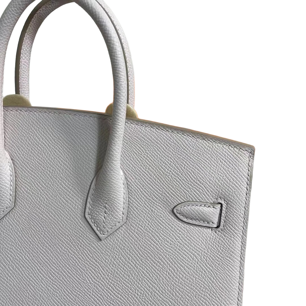 Hermès Birkin 25 Sellier Mauve Pale Epsom Silver Hardware — Polished Top-Handle Bag