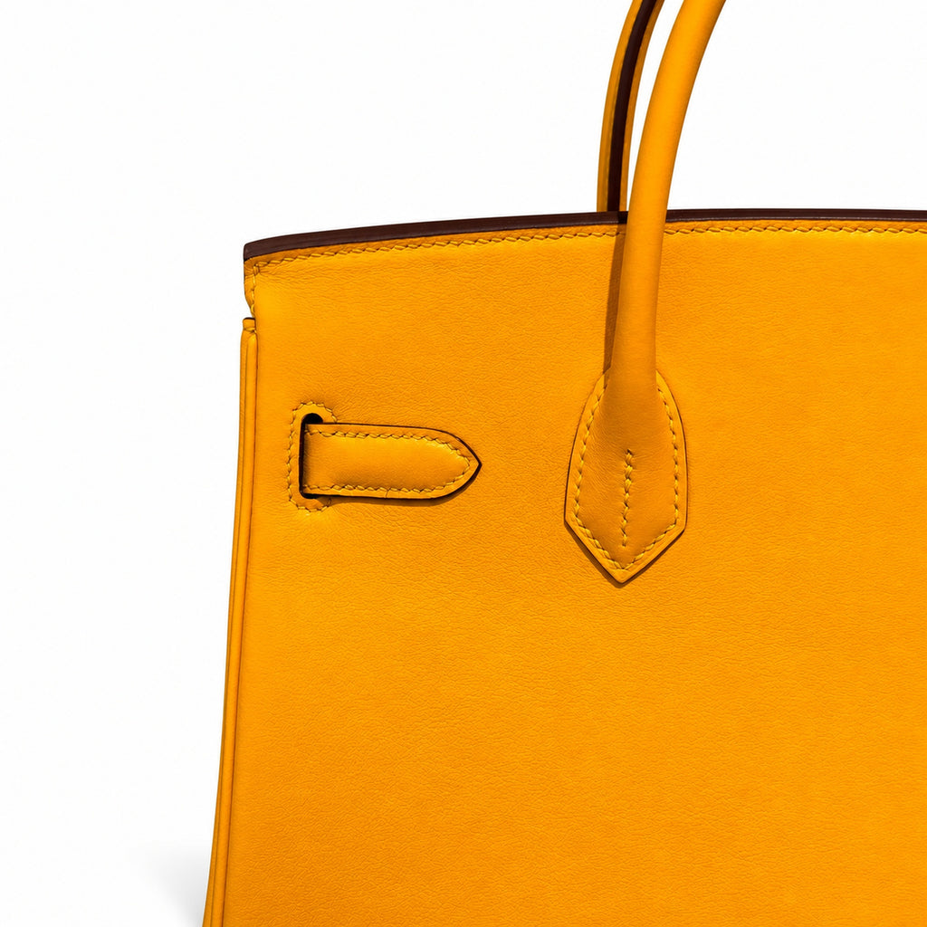 Birkin 30cm HSS Edition in Amber Yellow with Rainbow Swift Fringe — Versatile Top-Handle Handbag