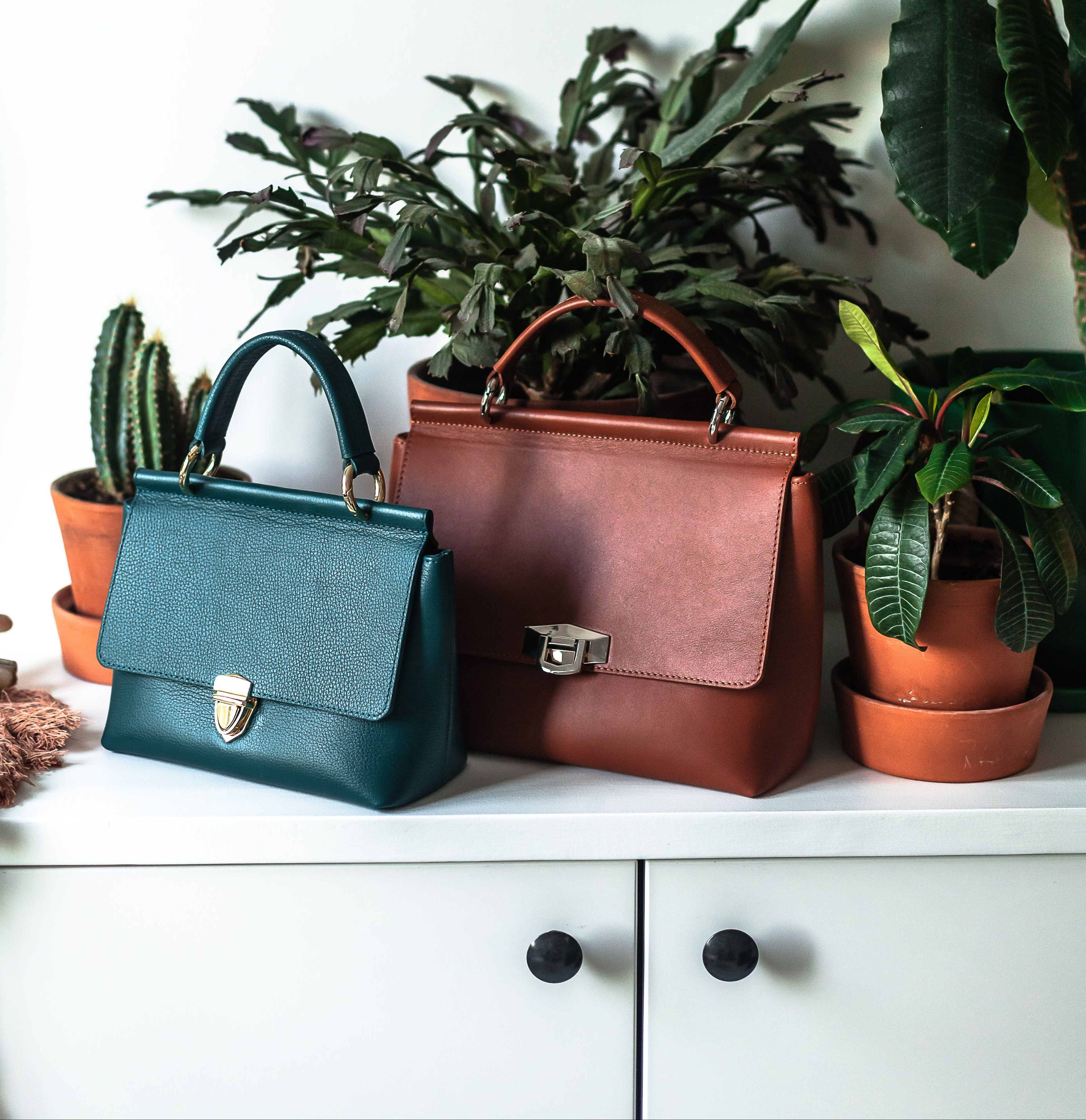 New Season Trendy Fashion Collections